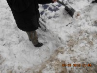 DSCN0554.JPG
