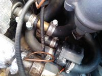 IMG_20130304_135240.jpg