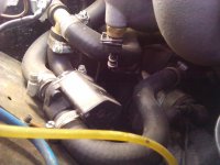 IMG_20130304_135439.jpg
