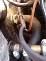 IMG_20130304_140353.jpg