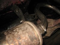 IMG_2936.jpg