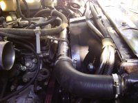 IMG_20120725_171801.jpg