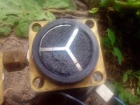IMG_20130602_153821.jpg