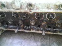 WP_20130603_004.jpg