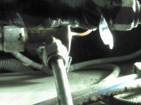 IMG_20130607_032448.jpg