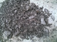 WP_20130608_017.jpg