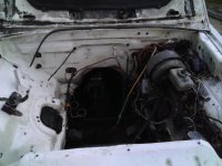 WP_20130611_001.jpg