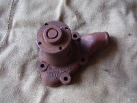 P1010016.jpg