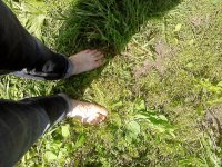 P22-06-13_14.38.jpg