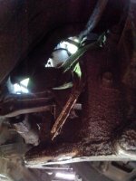 IMG_20130709_210558.jpg
