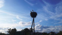 20130719_195727.jpg
