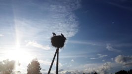 20130719_195731.jpg