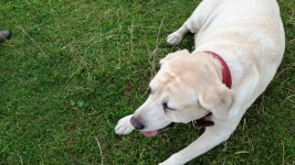 20130719_211538.jpg