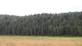 20130719_214456.jpg