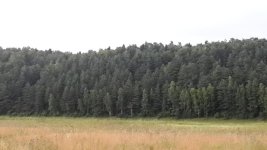 20130719_214458.jpg