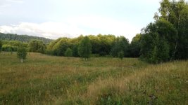 20130720_211948.jpg