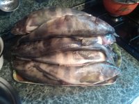 IMG_20130913_091842.jpg
