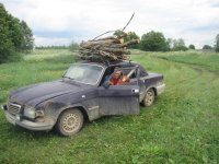 баклажанчик.jpg