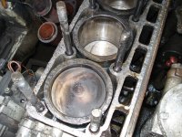 DSC00624a.jpg
