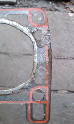 IMAG0455q.jpg