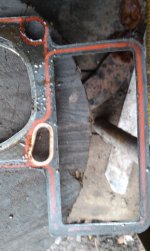 IMAG0456q.jpg