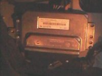 IMG05091A.jpg