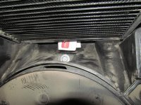 IMG_1189.JPG