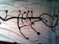 IMG0022A.jpg
