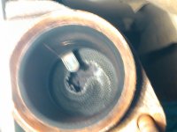 IMG_20140809_160837.jpg
