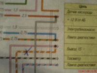 DSC00484.JPG