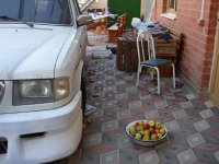 DSC04843.JPG