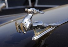 2010-12-06-15-55-04-1-the-icon-of-a-deer-on-gaz-volga.jpeg