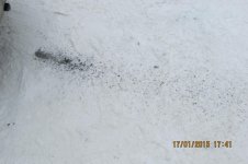 IMG_1632.jpg