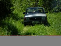 Recoverd_jpg_file(3222).jpg