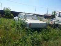 20150619_112921.jpg