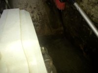 20150718_193037.jpg