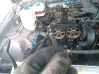 DSC_1675[1].jpg