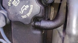 DSC_2735[1].jpg