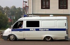 газель.jpg