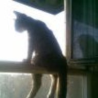 александр562