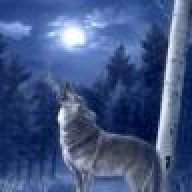 wildwolfe