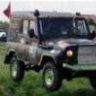 Борзик81