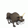 Stier