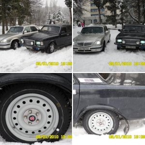 мои  ВОЛГИ