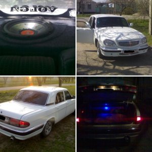 моя ласточка