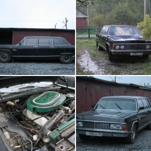 Чайки