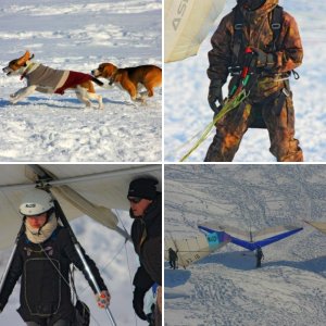 Parapro