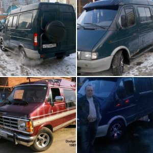Соболек мой.