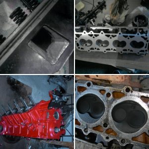 V8