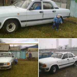 моя ласточка